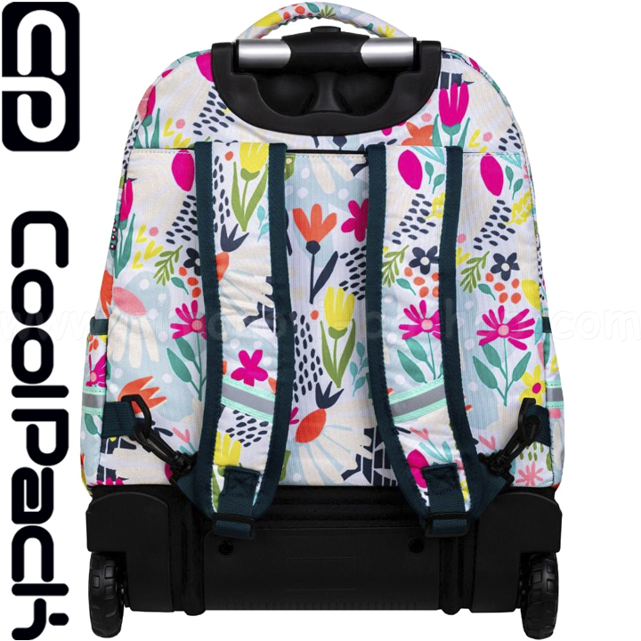 2023 Cool Pack Starr     Sunny Day F035663