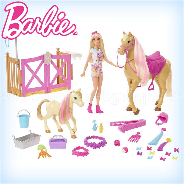 * Barbie Groom 'n Care®        GXV77