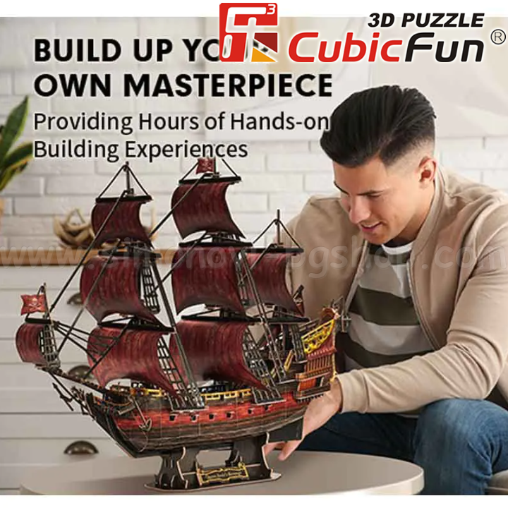 *3D Cubic Fun Puzzles   391. The Queen Anne's Anniversary Edition T4040h