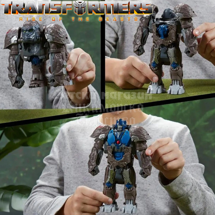 Transformers   :     F4641