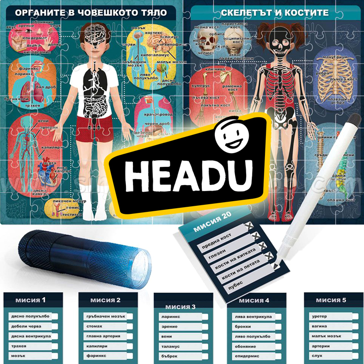 Headu   "   " HBG29174