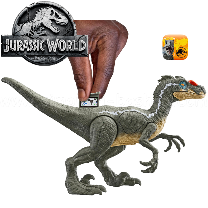 * 2023 Jurassic World Epic Attack™   Velociraptor HNC11