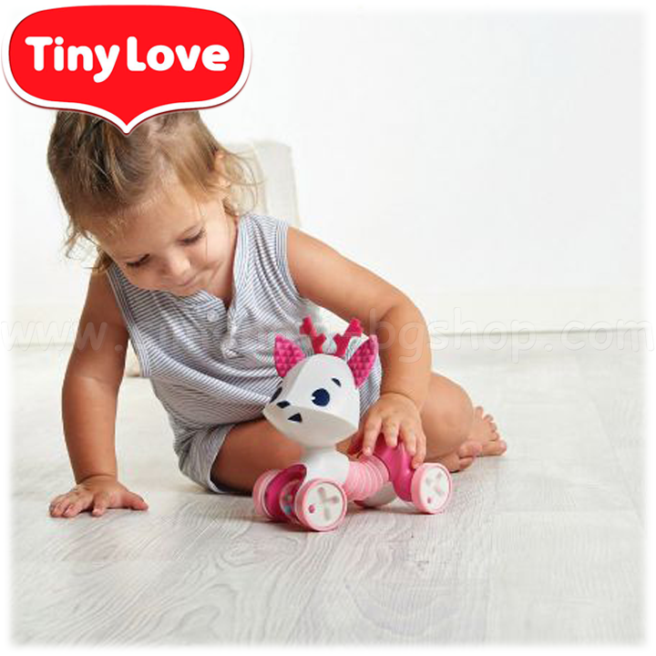*Tiny Love   " "  Florence Fawn