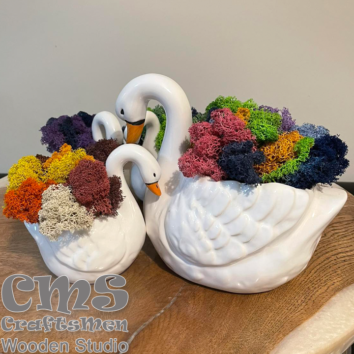 Crafts Men Studio   -     "Colorful"-1