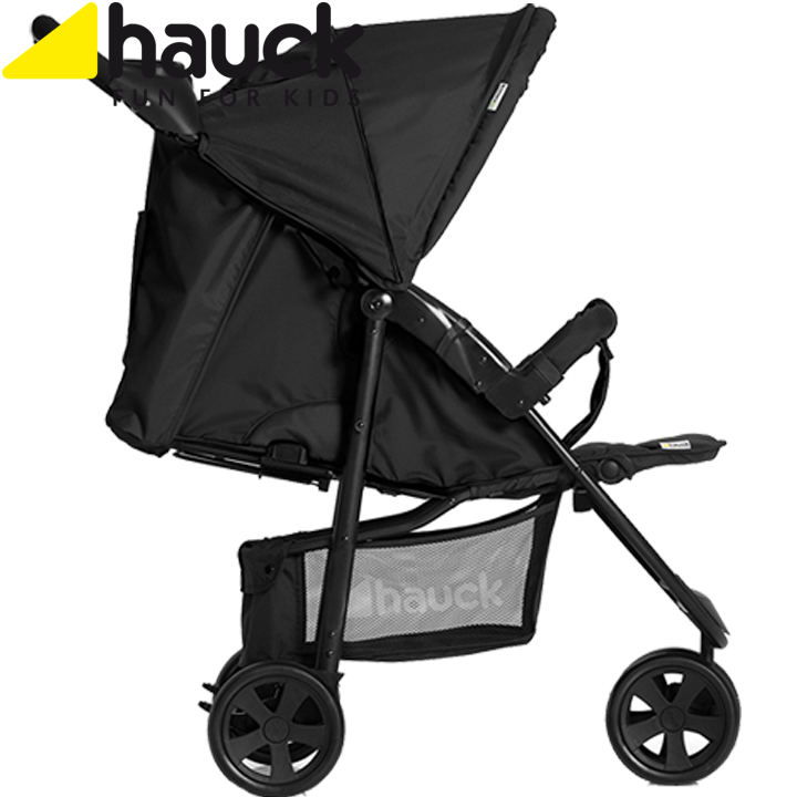  Hauck 311066