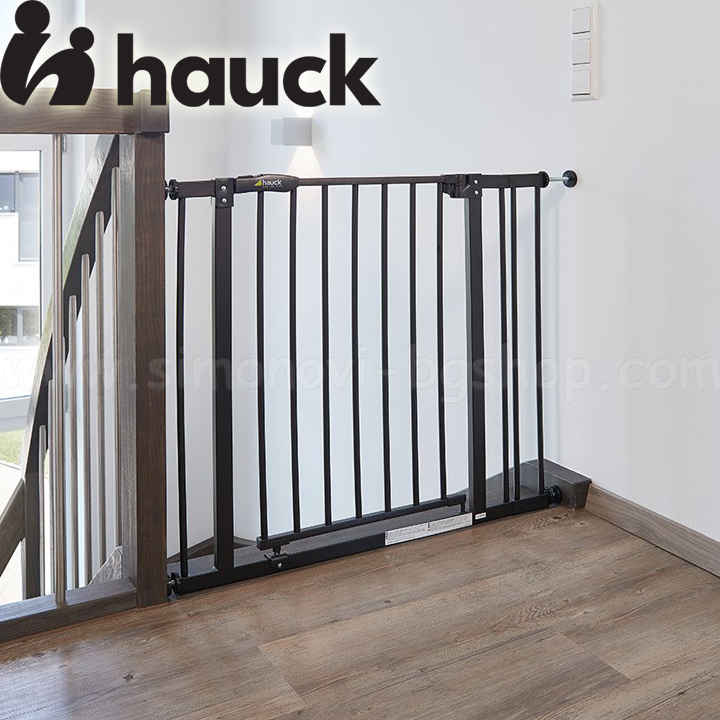 2023 Hauck   Close N Stop+ 21  Charcoal 597200