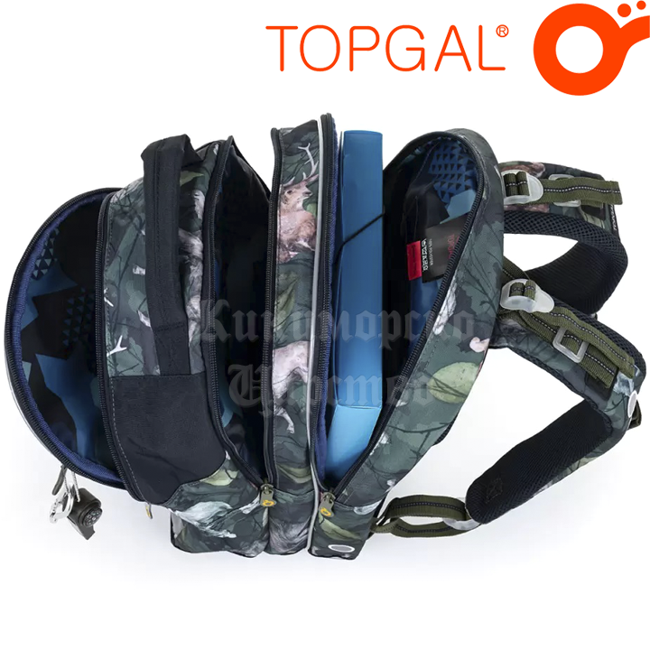 * 2023 Topgal Chilli    COCO 22056-1