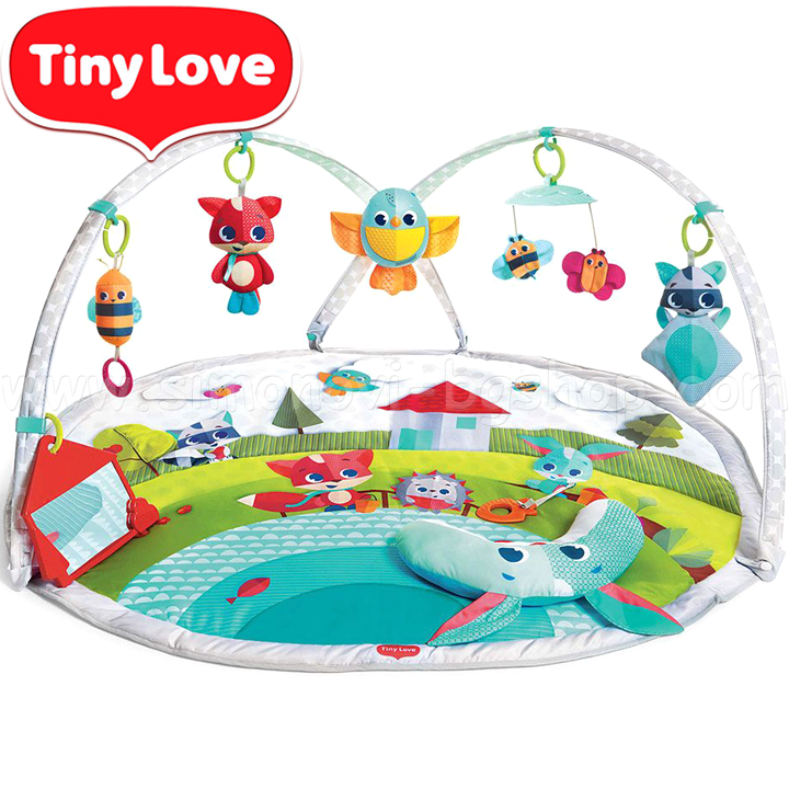 tiny love   dynamic gymini