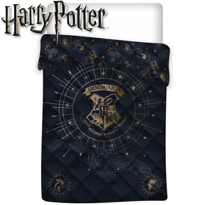 *Harry Potter  ,    5407010077414