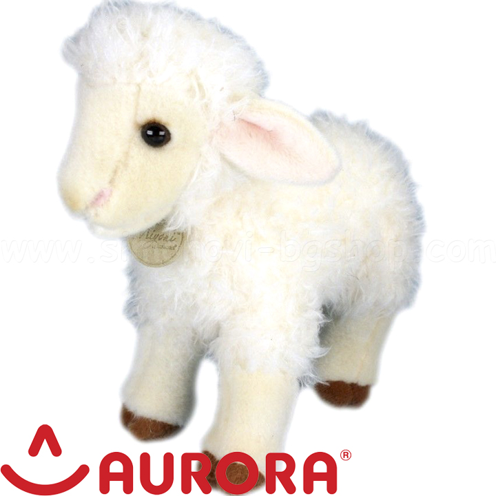Aurora    25  120870A