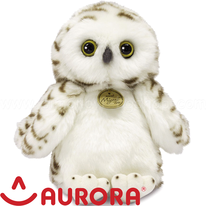 Aurora   23 180488A