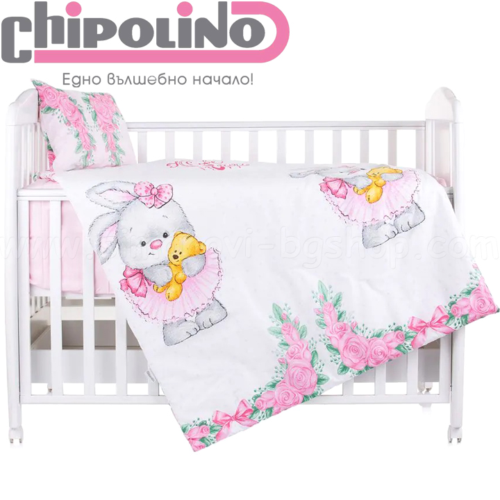 2023 Chipolino   5    SPCET502203