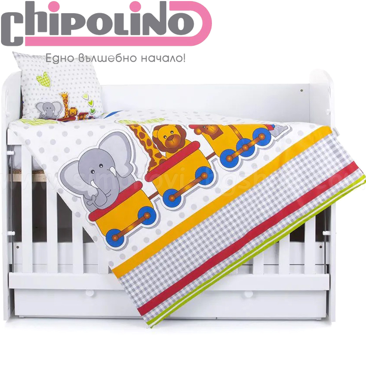 2023 Chipolino   5    SPCET502207