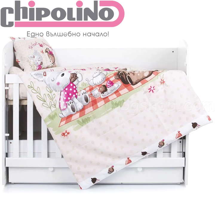 2023 Chipolino   5   SPCET502201