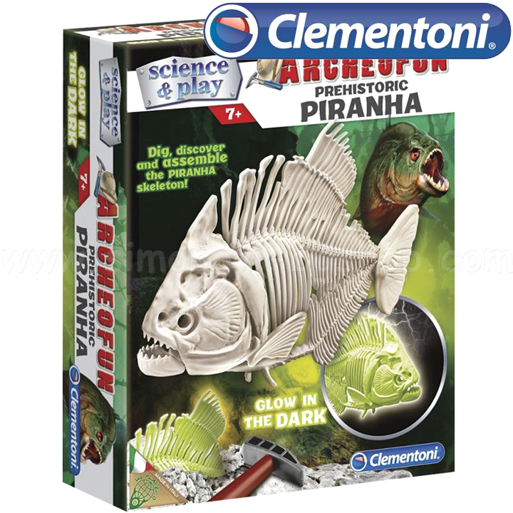 *Clementoni Science & Play   61242