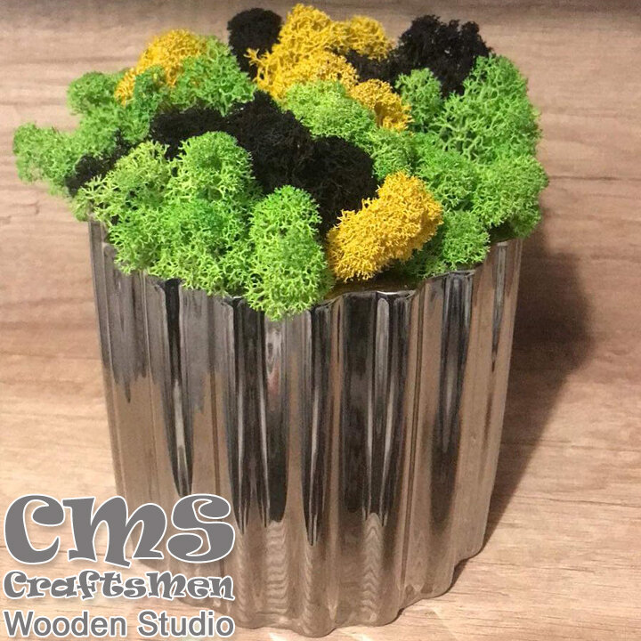 Crafts Men Studio Ceramic pot with Scandinavian moss "Silver"