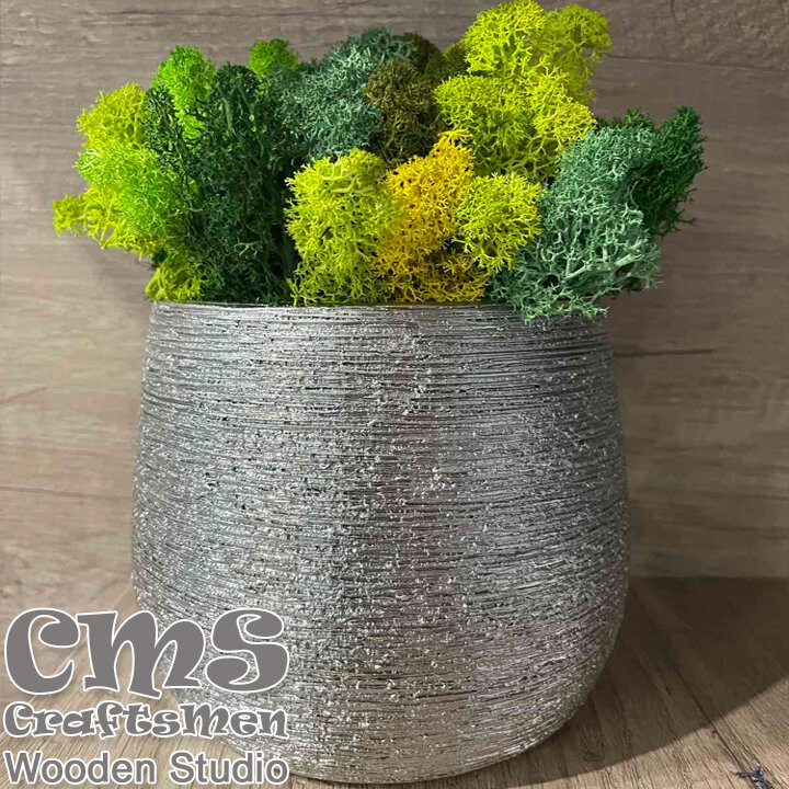 Crafts Men Studio Ceramic pot in gray with Scandinavian moss "Green Dream"