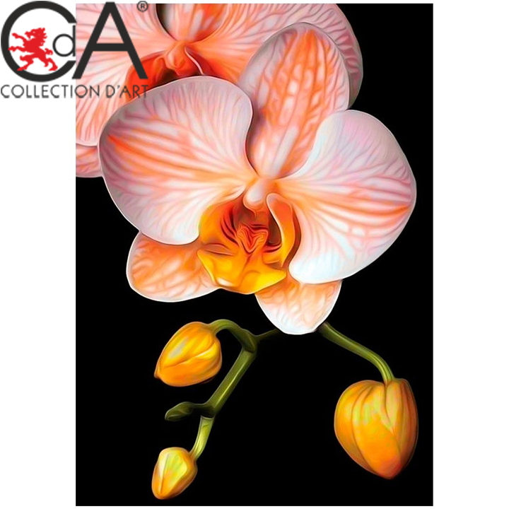 Collection D'Art   -  27 x 38. -  DE281