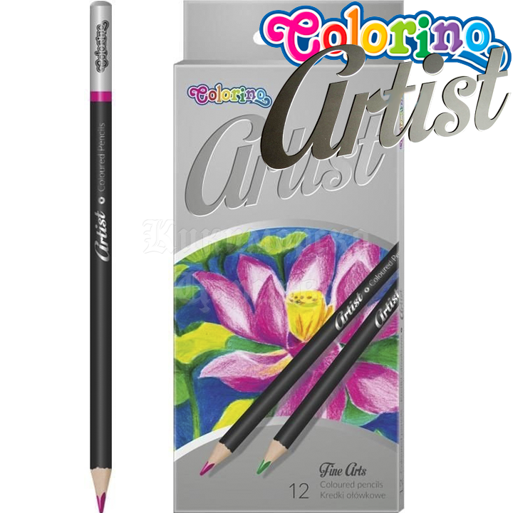 Colorino Artist   12  65498