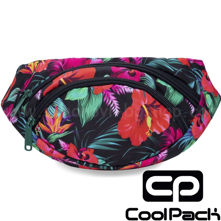 2023 Cool Pack Albany Waist Bag Maui DreamB75039