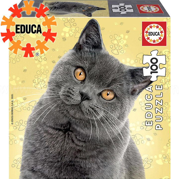 Educa Puzzle 100 piese British Shorthair 18807