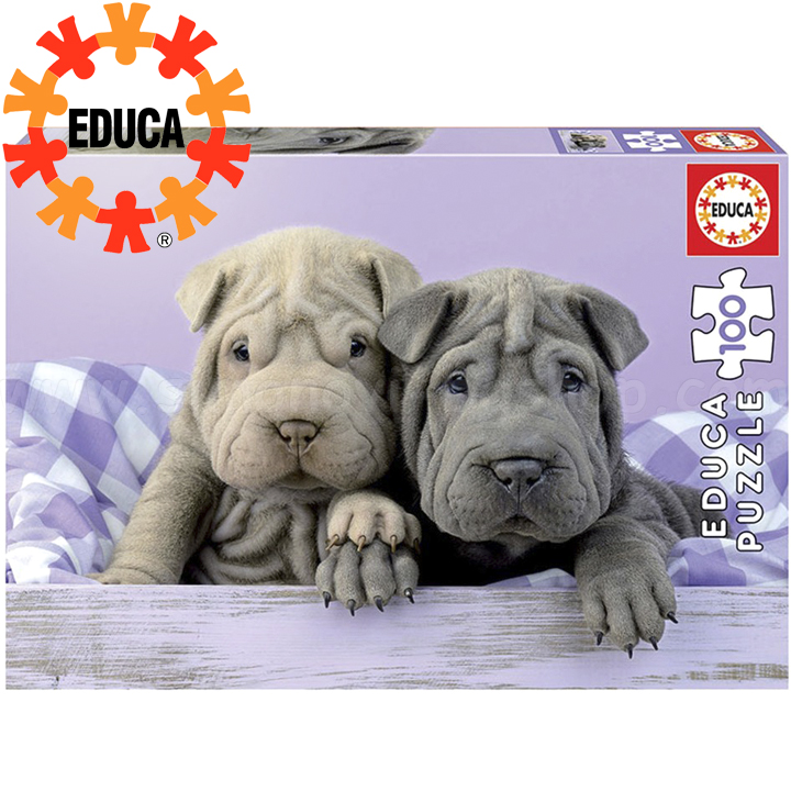 Educa  100       18063