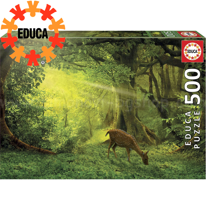 Educa  500    17958