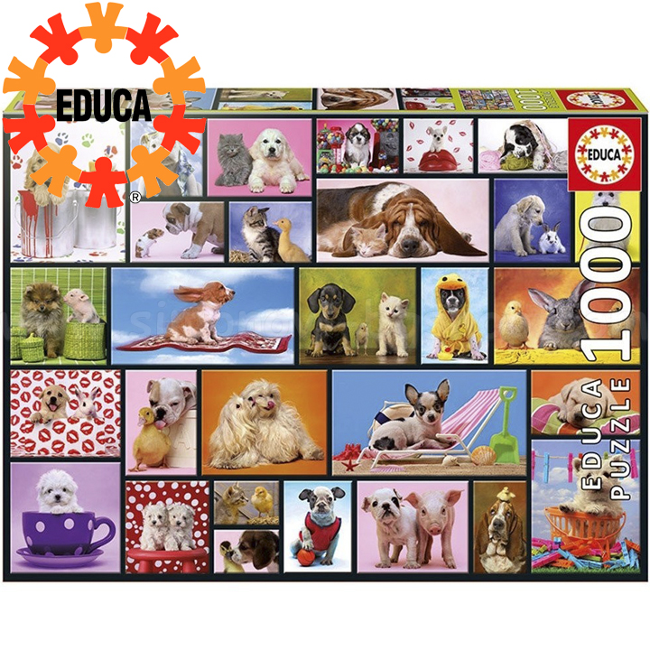 Educa  1000  Shared Moments 15518