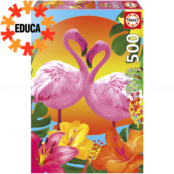 Educa  500   17737