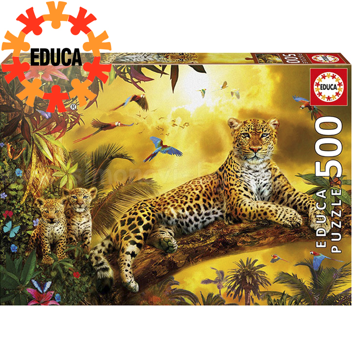Educa  500     17736