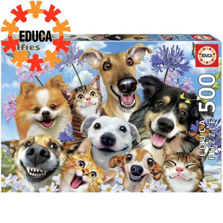 Educa  500     17983