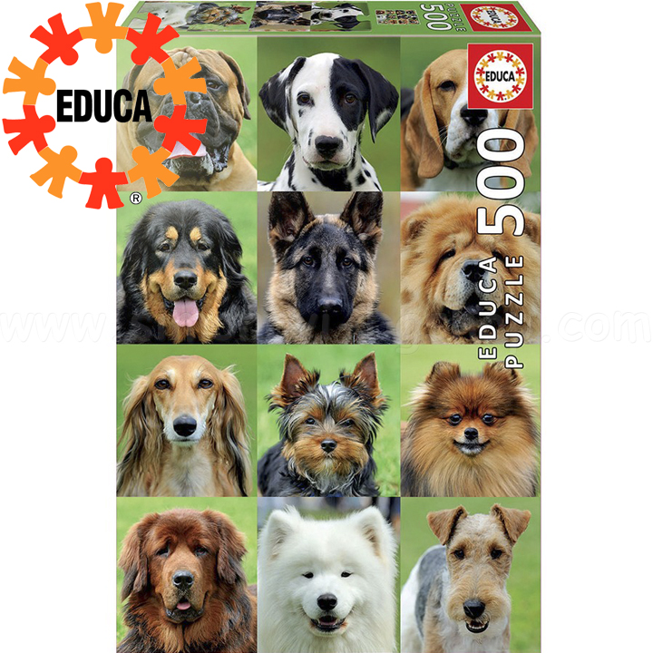 Educa  500    17963
