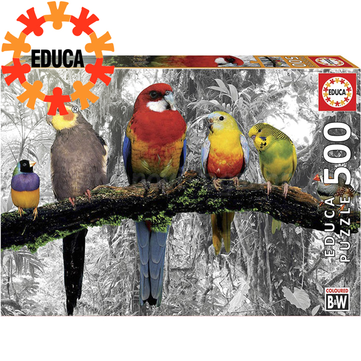 Educa  500     17984