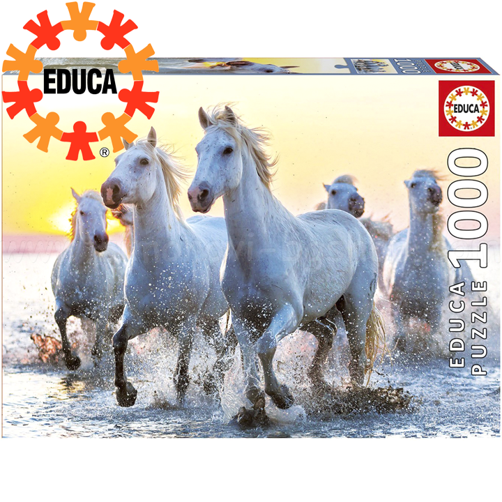 Educa      1000  17105