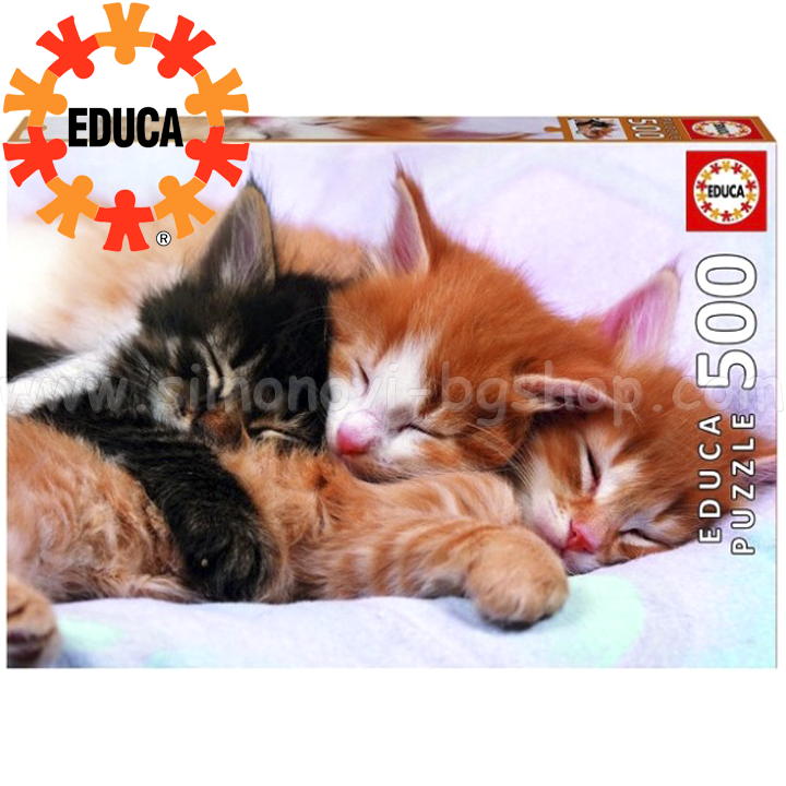 Educa    500  17087
