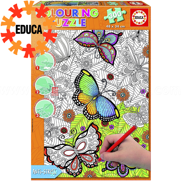 Educa     300  17089