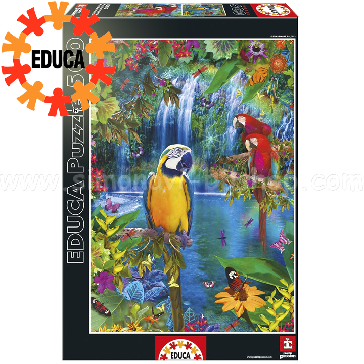 Educa    500  15512