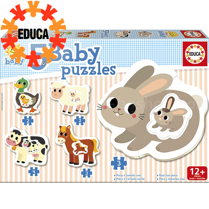 Educa    17574
