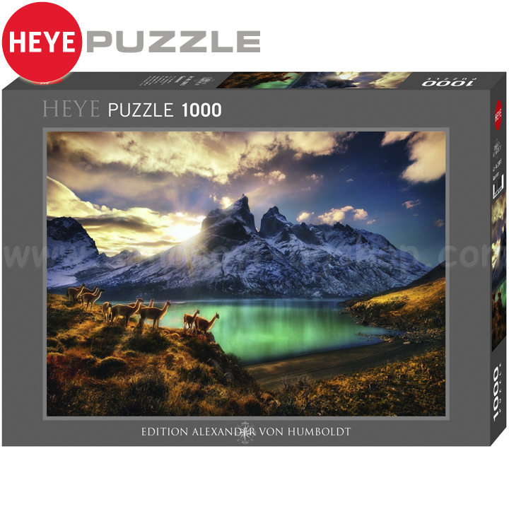 Heye   1000.  29815