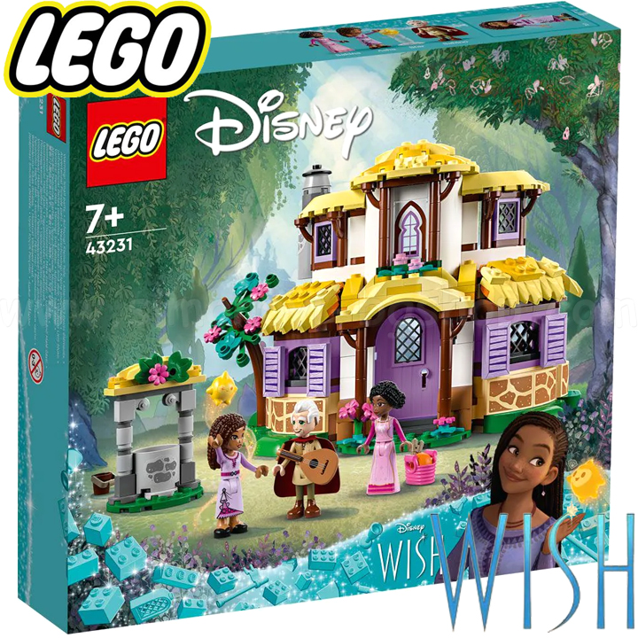 * 2023 Lego Disney Princess Wish    43231