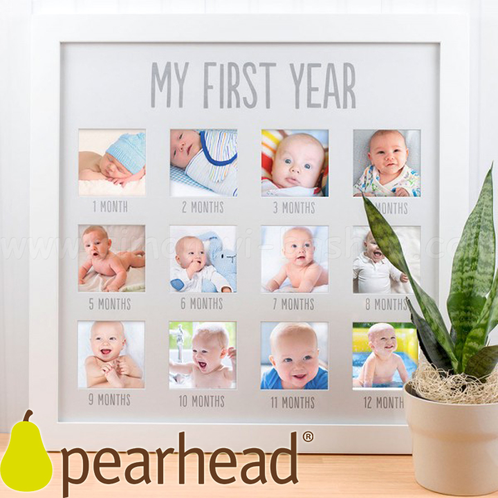 Pearhead    First Year 74000