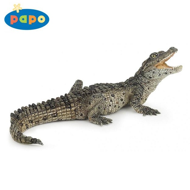 Papo - ������� ���� �������� 50137