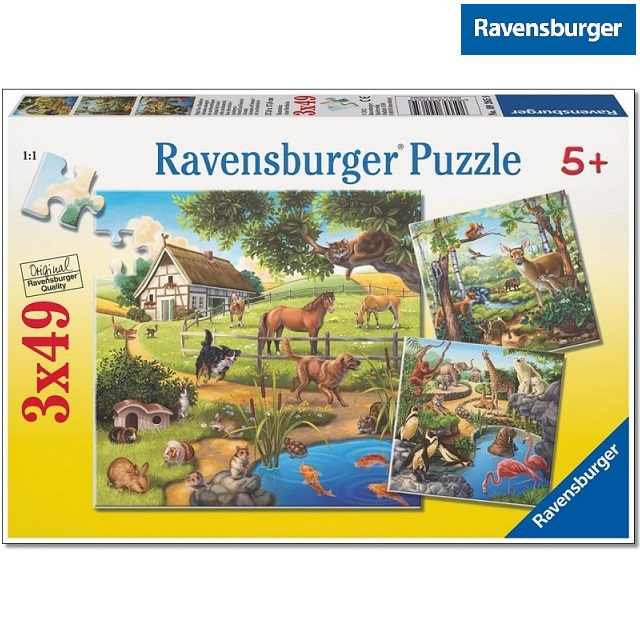 Ravensburger ����� "���������� �������"/��� ������/ 09265