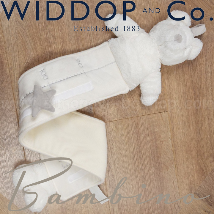 Widdop and Co. Bambino    120 Teddy Bear CG1642