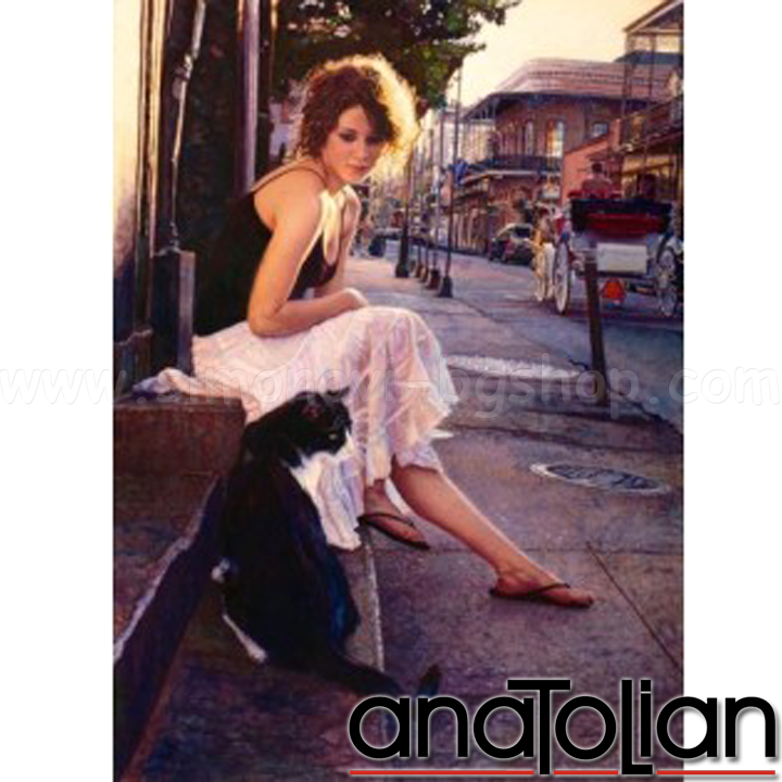 AnaToLian Puzzle Friendship 1022