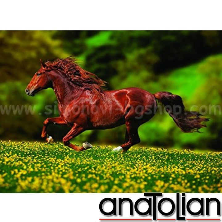 AnaToLian Puzzle Freedom 1026