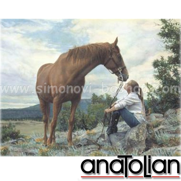 AnaToLian Puzzle Girl and horse 3160