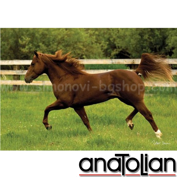 AnaToLian Puzzle Outdoor Field in 3301