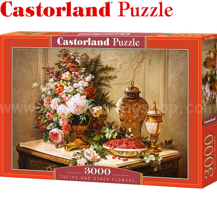 CastorLand Puzzle  3000.   C-300488-2