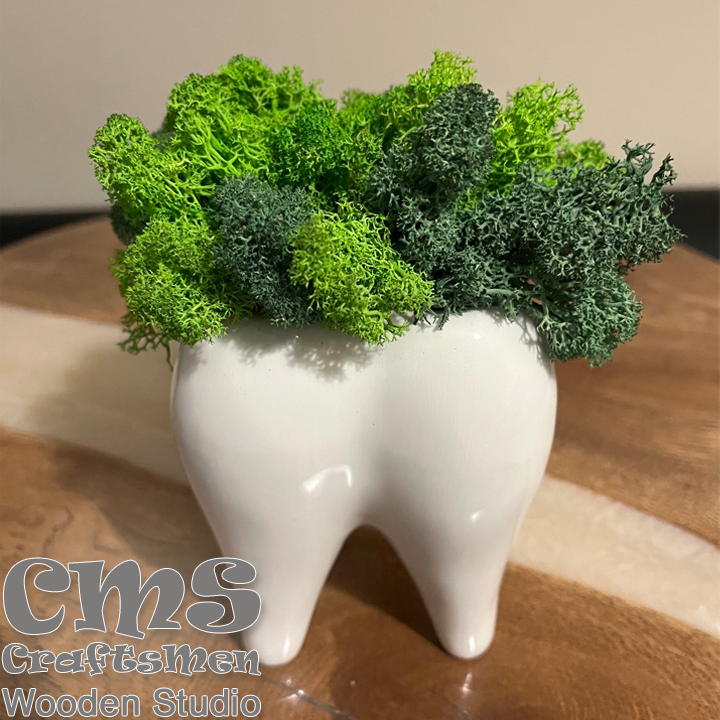 Crafts Men Studio Tooth with Scandinavian moss in green
